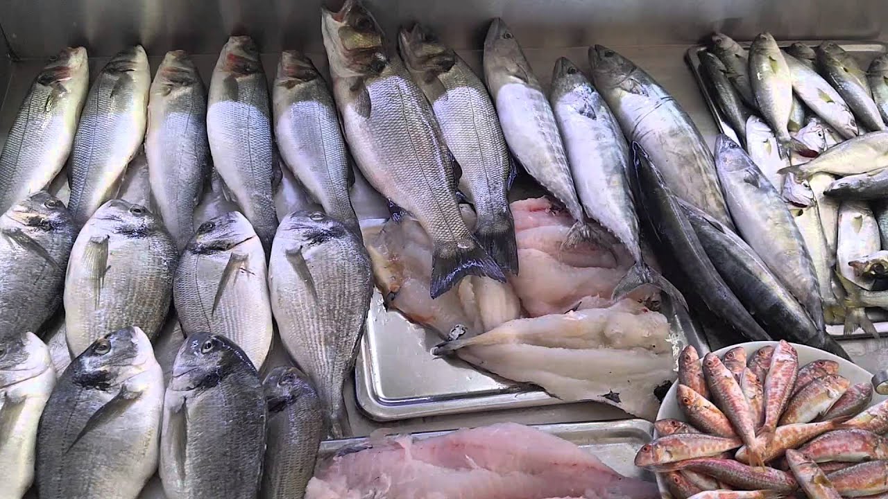 Dardanelles Tschanak Kale 차낙칼레 다르다넬스 해협 - YouTube