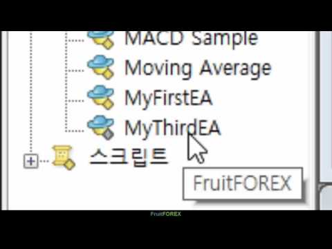 "폴더와 파일" ----- 메타트레이더 자동매매시스템 EA개발 및 MQL프로그래밍 강좌/강의 (FX마진 MT4 시스템 트레이딩 강좌/강의)