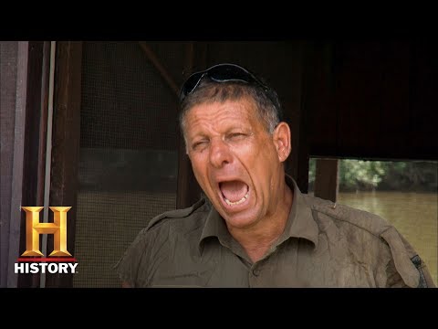 Ax Men: Learning to Speak Shelby | History