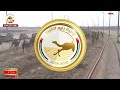 الشوط 18 طوفان لـ خليفة هامل ال غيث القبيسي 9 04 48 جائزة زايد الكبرى 2025 
