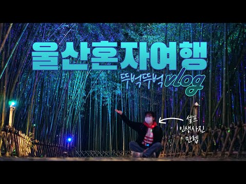 vlog｜여자 혼자 뚜벅이 울산여행 브이로그｜울산 맛집 부수고, 울산대공원과 태화강국가정원, 십리대밭길 은하수길에서 인생사진 찍기｜울산 여행브이로그 1편｜하는사람er