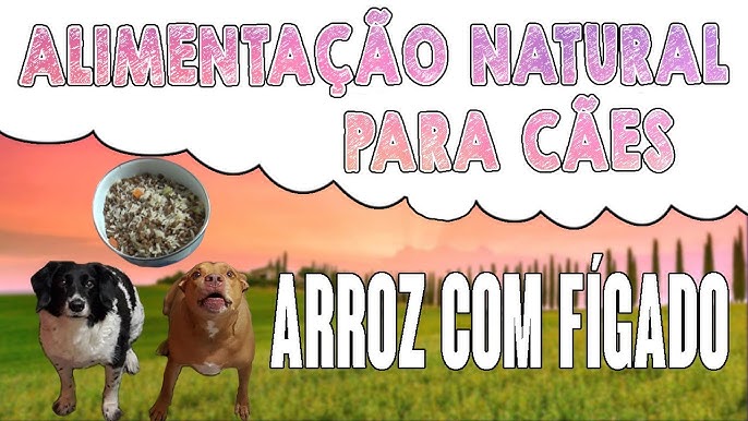 Cachorro pode comer fígado de galinha? Veja aqui