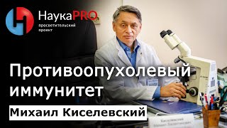 Противоопухолевый иммунитет - Михаил Киселевский | Лекции по медицине | Научпоп