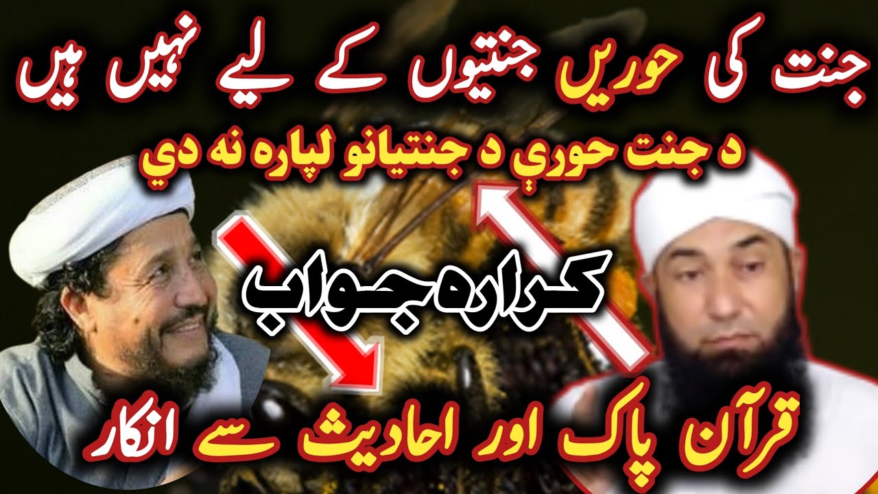 Маулана Ихсан Уллах Хасин против Мауланы Юсуфа Бунири / Девы Рая не для обитателей Рая @Safi100