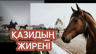 видео: ҚАЗИДЫҢ ЖИРЕНІ. картинка: ҚАЗИДЫҢ ЖИРЕНІ.