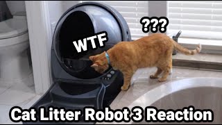 We Got Our Cats a $700 Litter Box | Unboxing and Reaction to Litter Robot 3