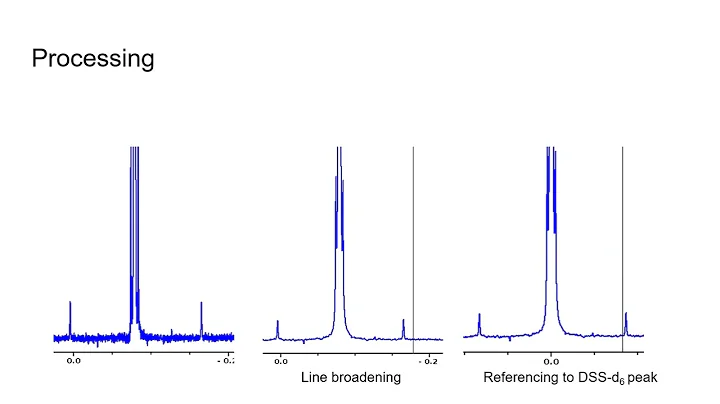 Automatic profiling of NMR spectra using Magmet by Brian Lee