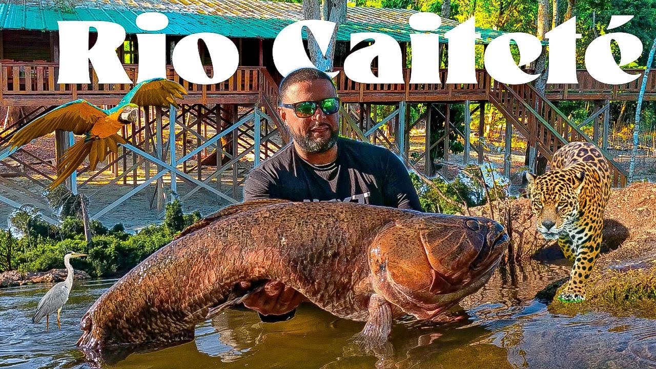 A COISA MAIS ABSURDA QUE JÁ VI TRAIRÕES EXPLODINDO NA SUPERFÍCIE EM UM RIO ESCONDIDO.