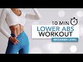 10 MIN BEGINNER LOWER ABS WORKOUT (Lose Lower Belly Fat) | Eylem Abaci