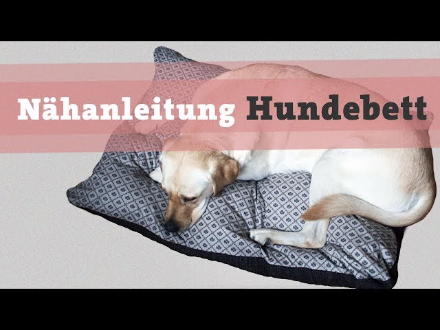 haarspangen aufbewahrung Haarklammer Organizer