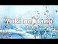 Uru - Yuki no Hana / 雪の華 Lyrics