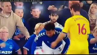Emotions At Goodison Park Everton V Crystal Palace Angry Home Fun Slap Palacesjoachim Andersen