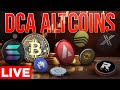 Dca altcoins to buy on the dip 