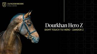 Dourkhan Hero Z-Zangersheide Hengstpräsentation 2026 ( GER )