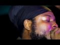 Dub in the rainforest 4 pt 3  i grade dub feat pressure volcano midnite niyorah  ras batch