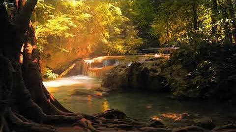 القارىء معاذ الخلطي - سورة المؤمنون - ( رواية ورش عن نافع )