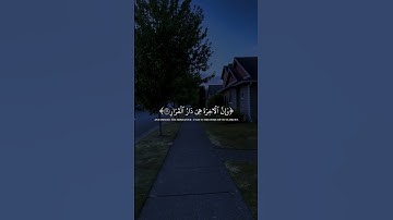 القارئ :- رعد الكردي سورة :-غافر #قران #قران_كريم #quran #qur49n  #رعد_الكردي #سورة_غافر