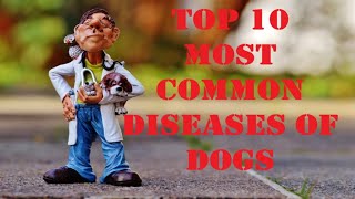 TOP 10 MOST COMMON DISEASES OF DOGS THAT YOU NEEDED TO KNOW by Restless TV 4,242 views 4 years ago 8 minutes, 35 seconds