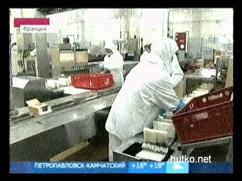 E.coli: теперь из Египта E.coli: теперь из Египта