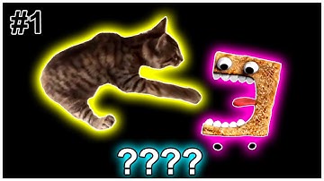 6 Cinnamon Toast Crunch vs Cats Sound Variations in 60 seconds