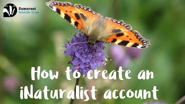 How to create an iNaturalist account (GSWC)