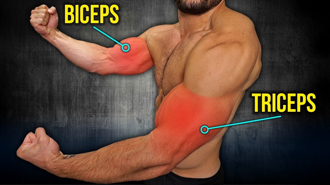 6min Home BICEPS and TRICEPS Workout (DUMBBELL ARM WORKOUT