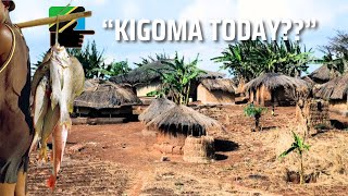 😳 "The Kigoma I Expected vs. What I Found! 🤯 Unbelievable Food Experience!"
