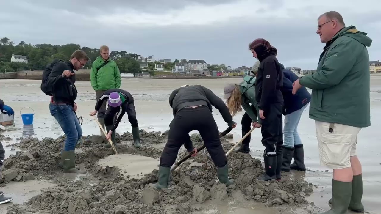 Developmental and Marine Biology, Excursion, Roscoff 2025