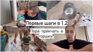 Первые шаги в 1.2🥳 Пора приучать к горшку?