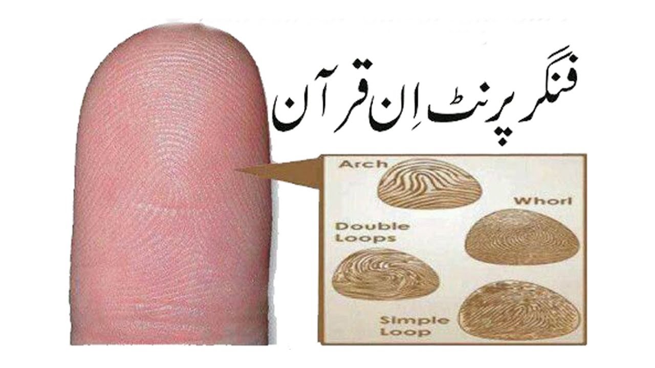 Finger Print In Quran urdubag inurdu islamicbiyan muharram 