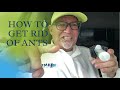 How To Get Rid Of Ants Fast / Pest Control Lexington SC / Ant Treatment