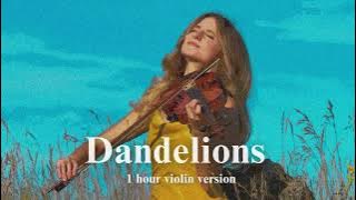 Ruth B.  - Dandelions ( 1 hour violin for relaxation, stress relief, study, sleep )