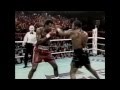 Mike tyson vs tony tucker highlights