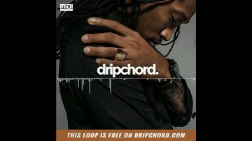 Free Future Trap Loop "Chanel" MIDI + Stems, Royalty-Free