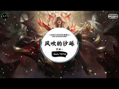 风吹的沙砾 (抖音DJ版) - 洋澜一『还未到深秋叶已经黄透，只见夕阳落尽染上离愁。』♪ || 抖音最热门的背景音乐 | 抖音 | TikTok ♪