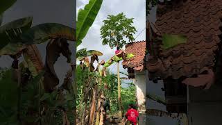 Story wa Ramadhan cek #purworejo #shortvideo