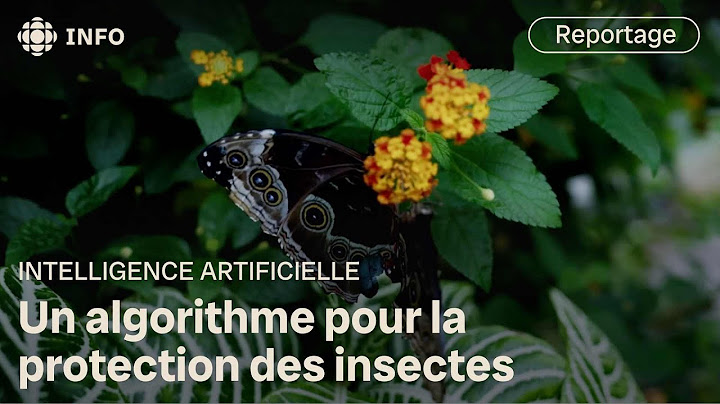 L’intelligence artificielle au secours des insectes | Découverte