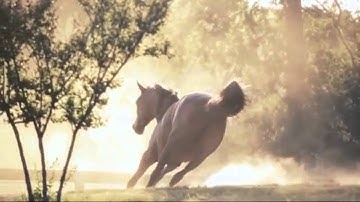 surah Yaseen سورة يس للقارئ عبدالعزيز الزهراني