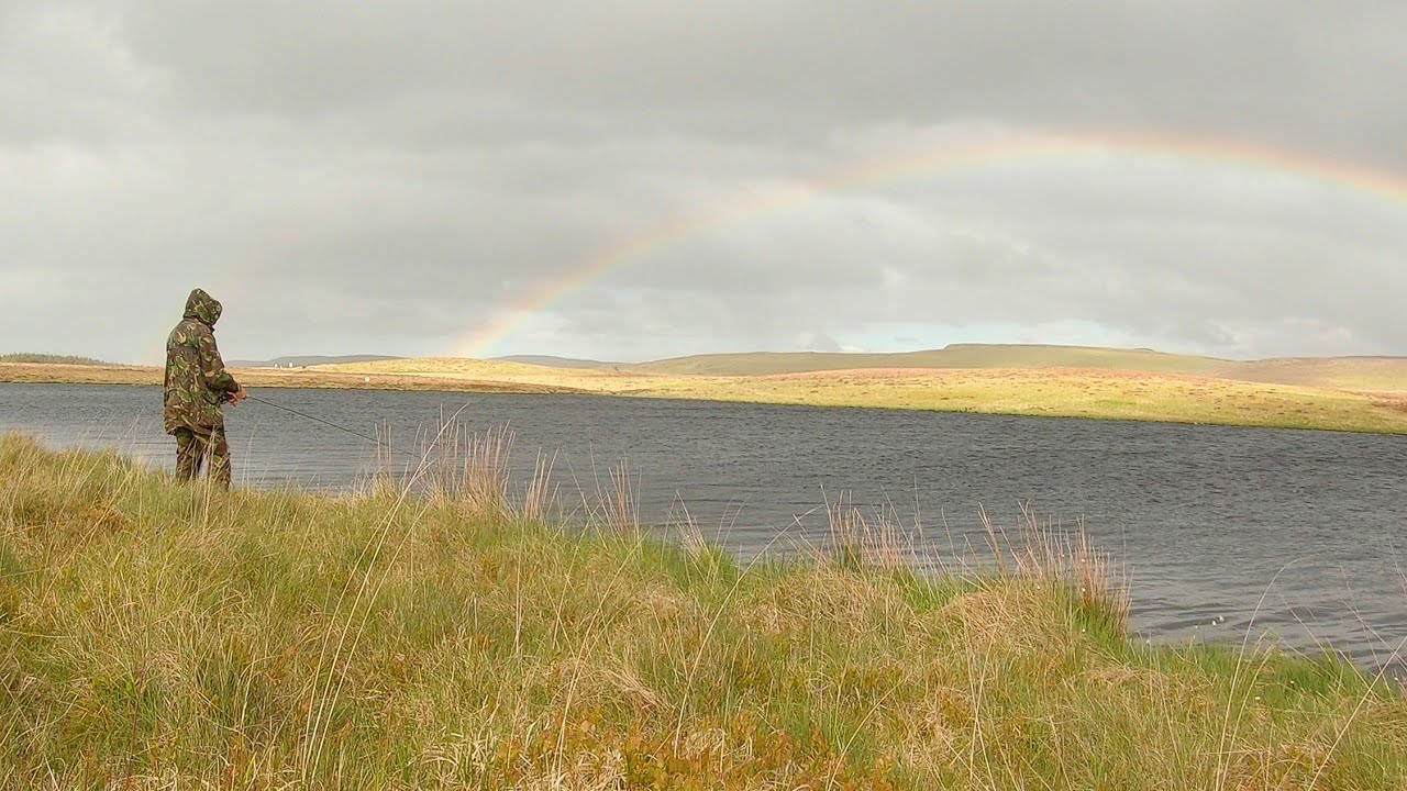 When Sedgehogs Attack