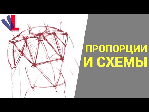 Видео: Торс: пропорции и схемы [Александр Рыжкин - Избранное ч.19]