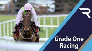 What a talent! It's SO easy for Chacun Pour Soi in the 2021 Ladbrokes Dublin Chase at Leopardstown. screenshot 4