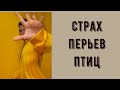 Страх перьев. Почему я боюсь перьев? Птеронофобия - это нормально? Страх крыльев бабочек и чешуи рыб