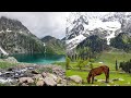 SONAMARG- The most beautiful place in kashmir | kashmir in summer | shoaib peerzada