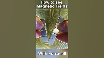 How to see Magnetic Fields with Ferrocell