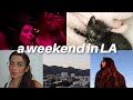 WEEKEND VLOG: night out, kitten sitting, chill days, etc.