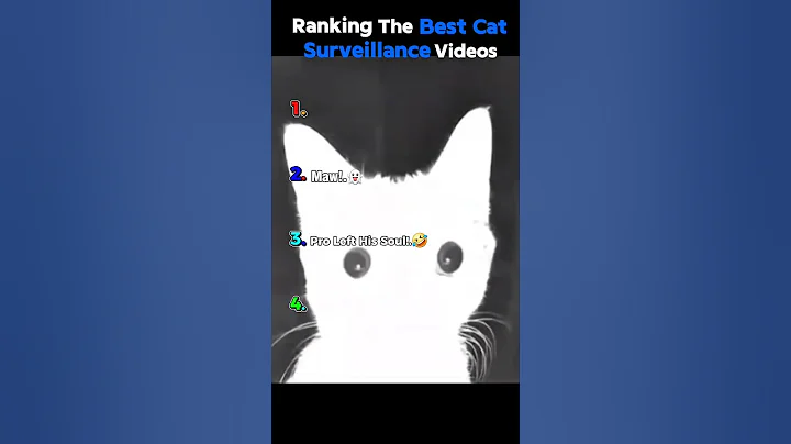 Watch the video about Ranking Best Cats Surveillance Videos #shorts #cat#catvideos #funnycatmoments#rankingcats​#catlover​