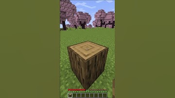 Day 1:Building my house by placing 2 blocks daily!!!! #minecraft #building #ytshorts #shorts