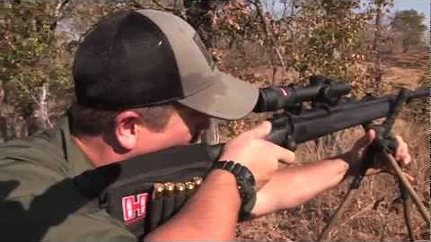 Steve Hornady on The Safari Insider: Using Ammo That Delivers Long Range Performance