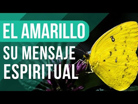 Significado ESPIRITUAL de la MARIPOSA AMARILLA 😯🦋 ¿Por qué es BUENA su visita? El impacto espiritual de avistar una mariposa amarilla