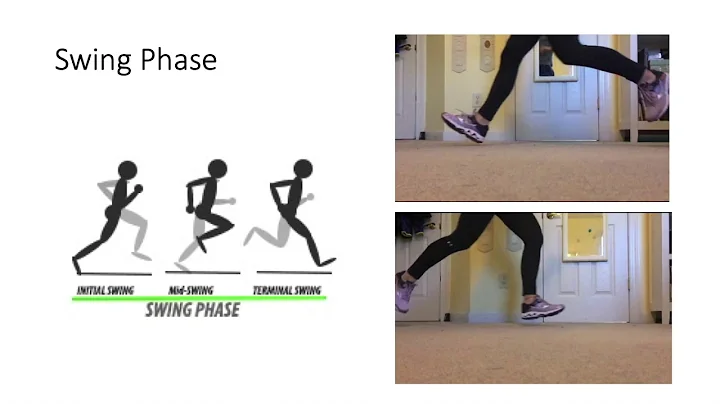 Analysis of the Running Gait Cycle